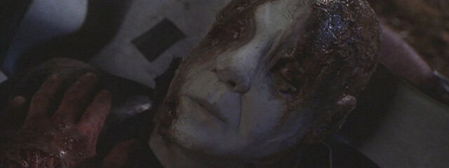 File:Axe end 2.jpg