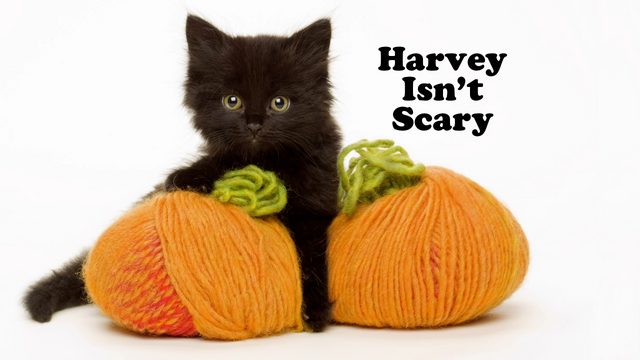 File:Harvey Isn't Scary.png
