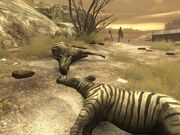 Halo3 111898607 Medium-1-