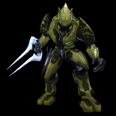 Datei:Elite Zelot.png
