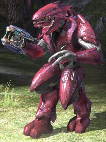 File:Elite mayor H3.jpg