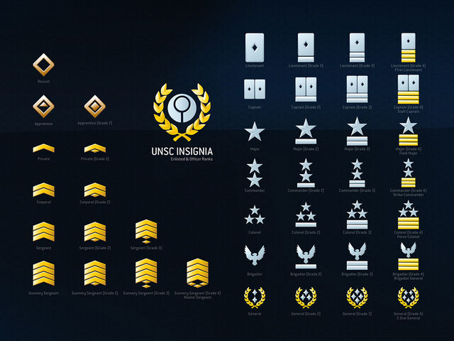 File:Ranks-1-.jpg