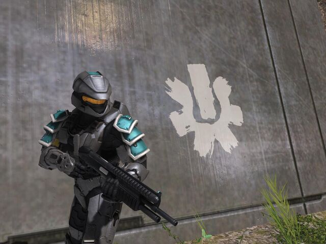 File:1215445925 Bungie Day.jpg