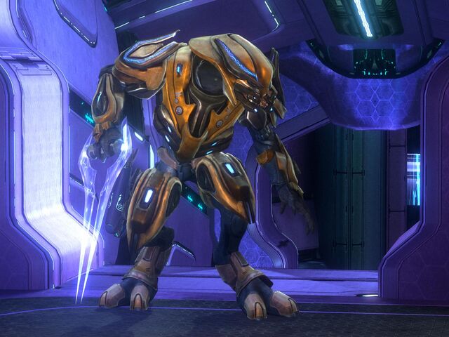 File:Gold zealot.jpeg