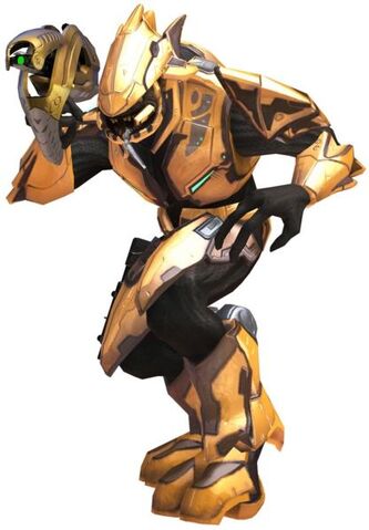 File:1210493411 Elite Commander.jpg
