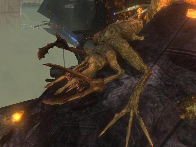 File:Flood Stalker.jpg