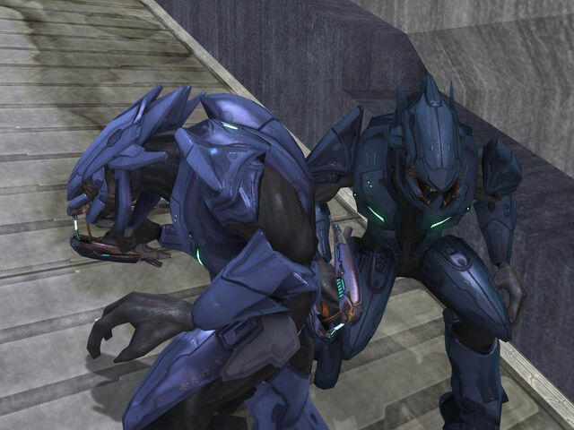 File:Sangheili Minors.jpg