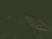 Fish117