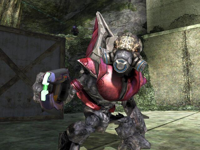 File:H3 Grunt Major.jpg
