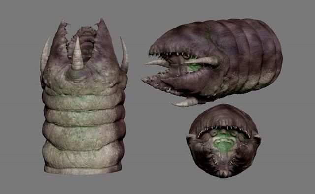 File:H5G Render-Texture Sandworm1.jpg