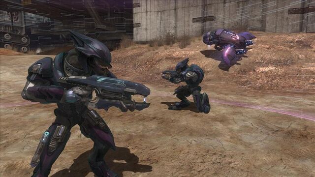 File:Reach 866217 Medium.jpg