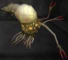 Flood Larva.png