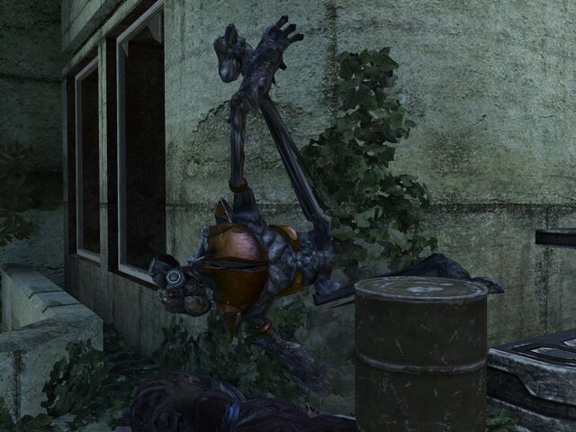 File:StrechyGrunt2.jpg