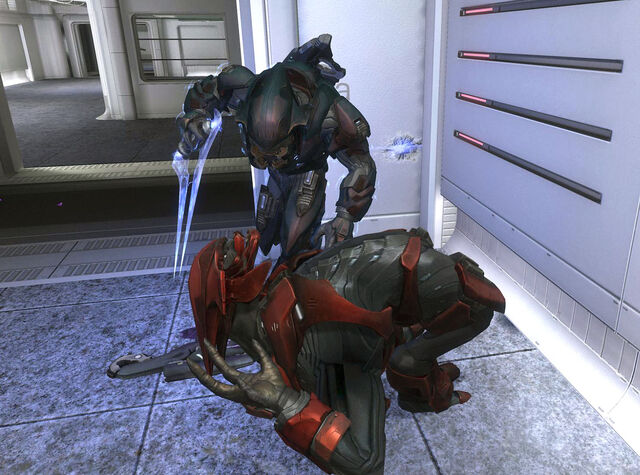 File:Reach 287345 opt.jpg