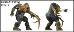 Brute form.png