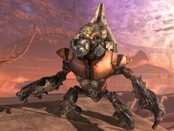Grunt Final.jpg