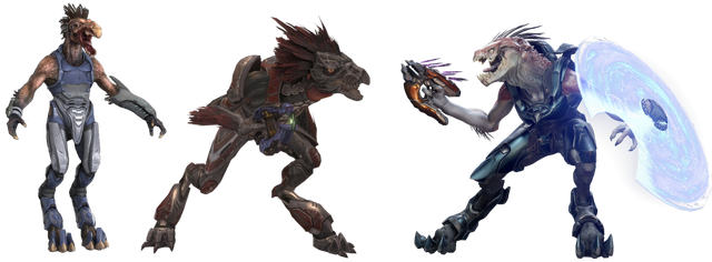 File:All Kig-Yar Species.png