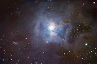 Iris Nebula