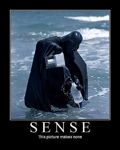 File:SENSE.jpg