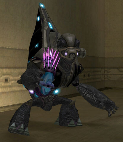 File:BlackNeedlerGrunt3.jpg