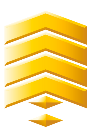 File:Gunnery Sergeant Grade Three.png
