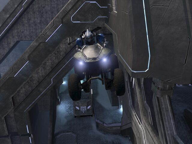 File:Flying mongoose.jpg