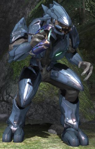 File:Elite Menor H3.jpg