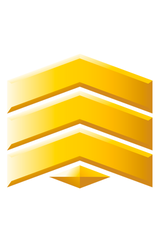 File:Sergeant Grade Two.png