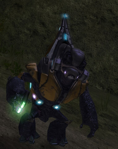File:Grunt minor.jpg