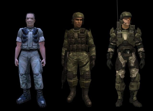 Fichier:Marine Evolution.jpg