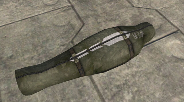 File:Bodybag1.jpg