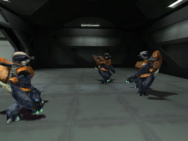 File:Groupofgrunts.jpg