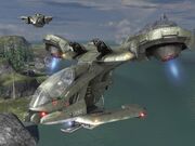 Hornets