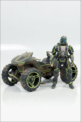 File:Mongoose-Rookie.jpg