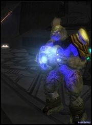HaloP 20- 2009.jpg