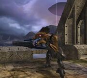 Jackal Lakeside-1-.jpg