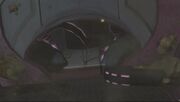H2 High Charity Infested