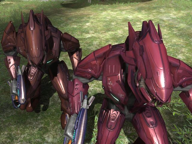 File:Major Elite Variations.jpg
