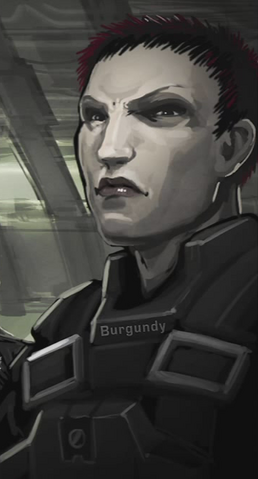 File:Burgundy.png