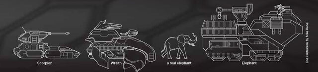 File:ElephantSizeComparison.jpg