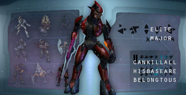 File:Major Elite AYB.jpg
