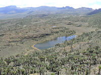 MtElgonCaldera