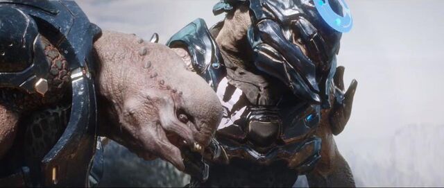 File:Sangheili helmet removed.jpg