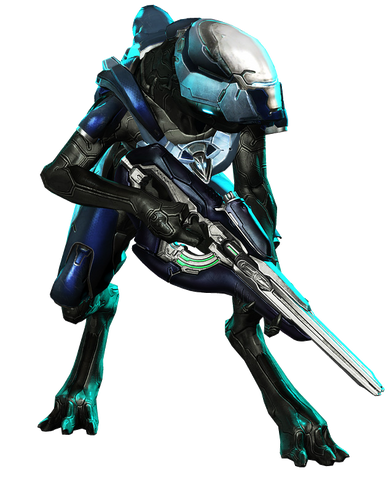 File:CP. 371.png