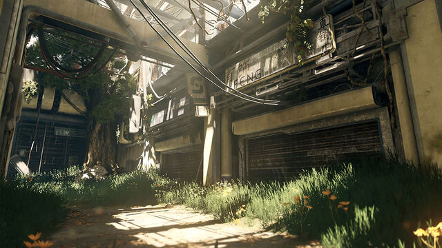 File:H5G Multiplayer Overgrowth2.jpg