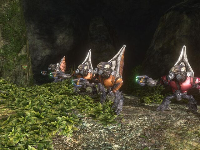 File:4 Grunts.jpg