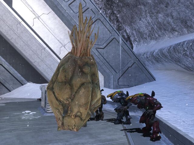 File:Defective Flood Dispersal Pod.jpg