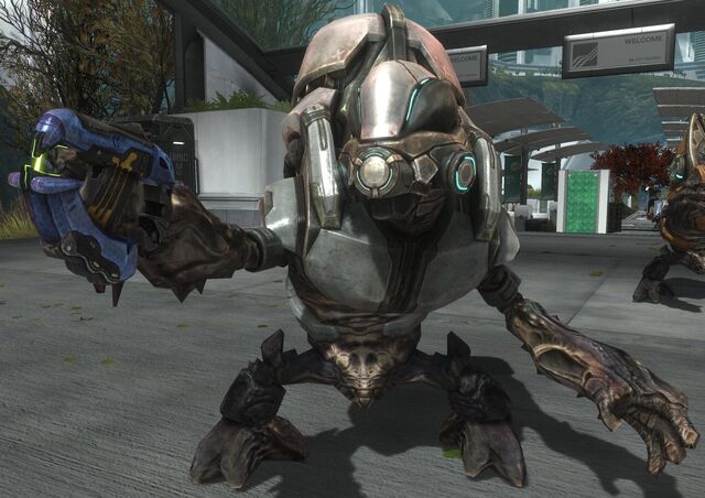 File:Grunt Ultra HR.jpg