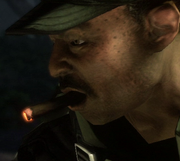 Cigar