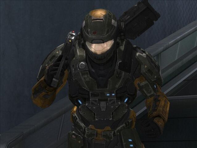 File:Reach 1274814 Medium.jpg